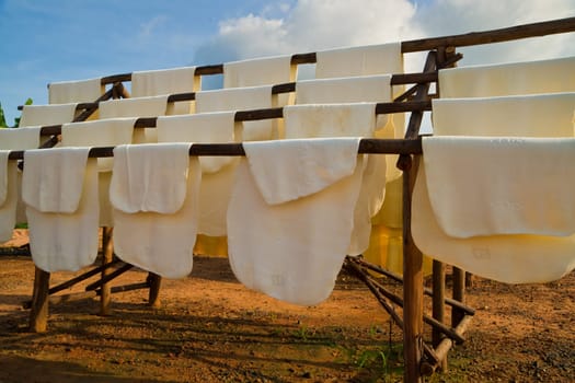 Drying of raw gum in a thai factory