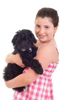 adorable little girl holding her dog (isolated on white background)