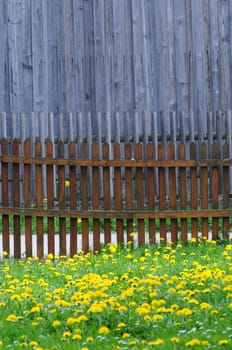 Garden fence