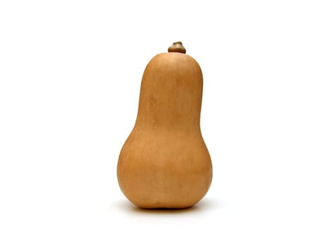 some butternut squash (Cucurbita moschata)