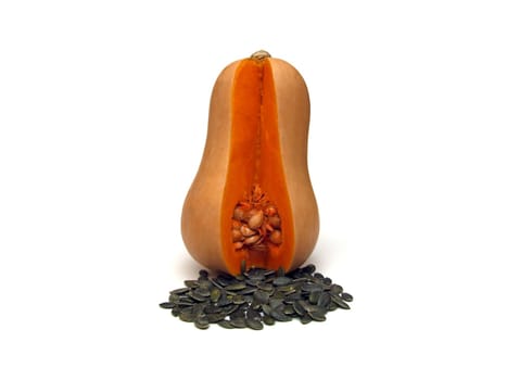 some butternut squash (Cucurbita moschata)