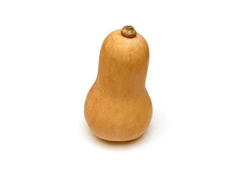 some butternut squash (Cucurbita moschata)