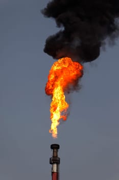 fire in the sky