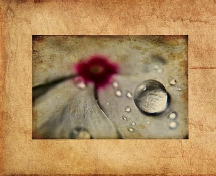 Grunge Flower Background