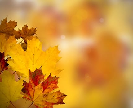 Abstract Background Composition - Autumn Leaves