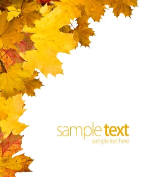Abstract Background Composition - Autumn Leaves