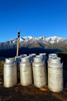 vertical milk