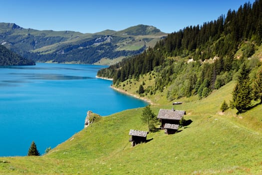 grass and lake