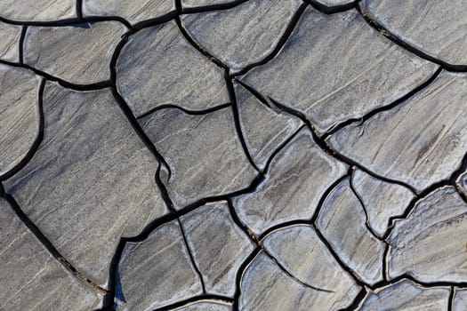 a nice texture on a dry land