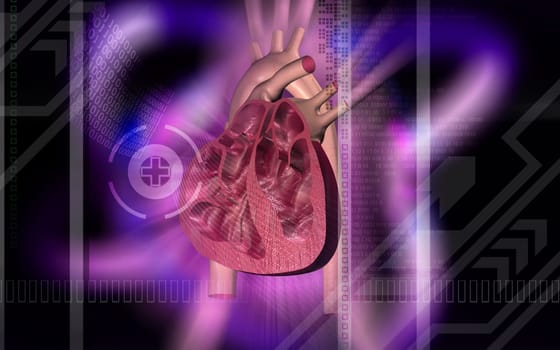 Digital illustration of heart in colour background