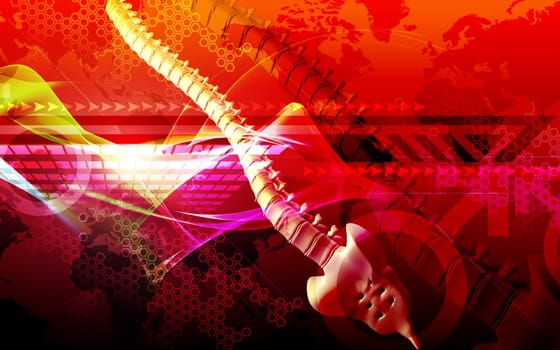 Digital illustration of back bone in colour background