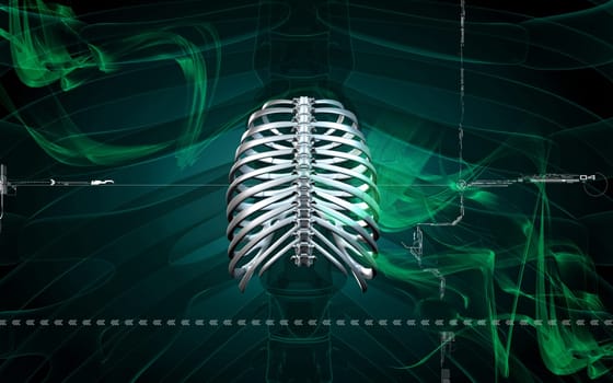 Digital illustration of rib cage in colour background