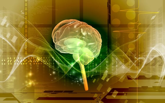 Digital illustration of brain in colour background