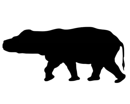 Hippo Silhouette