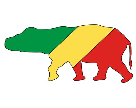 Hippopotamus Congo
