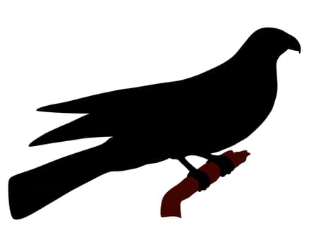 Falcon Silhouette