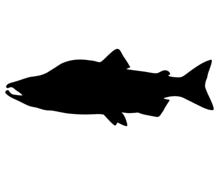 Salmon Silhouette