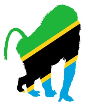 Baboon Tanzania