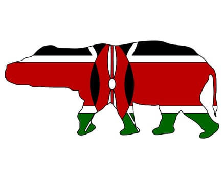 Hippopotamus Kenya