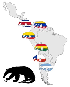 Great anteater America