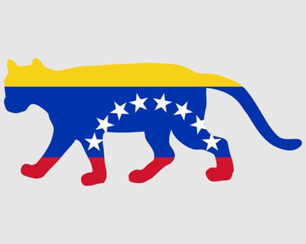 Puma Venezuela