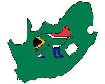 Jackal from South Africa