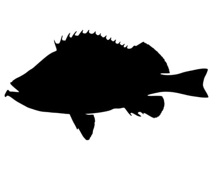 Redfish Silhouette
