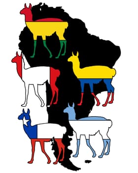 Guanaco South America