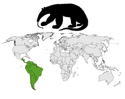 Greater anteater distribution
