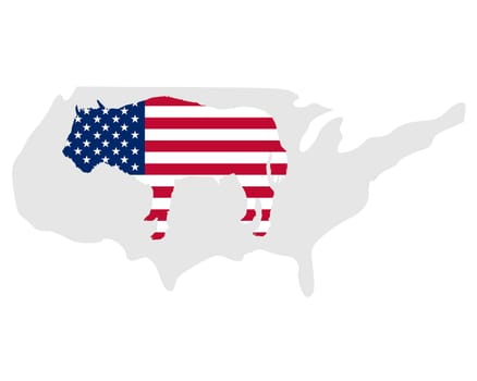 Buffalo