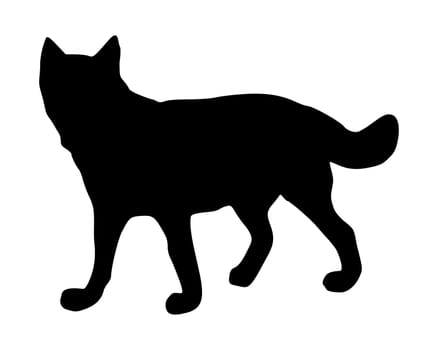 The black silhouettes of a wolf