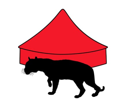 Tiger in the circus