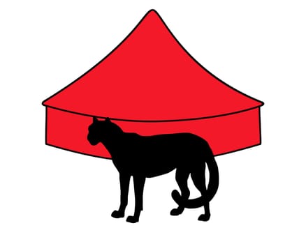 Cheetah in the circus