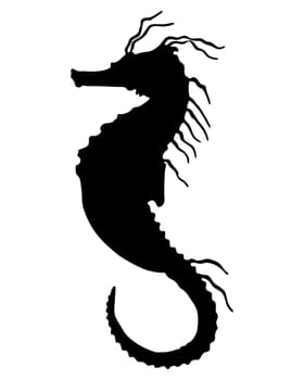 Seahorse Silhouette