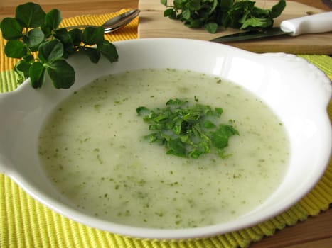 Herb cream soup with watercress