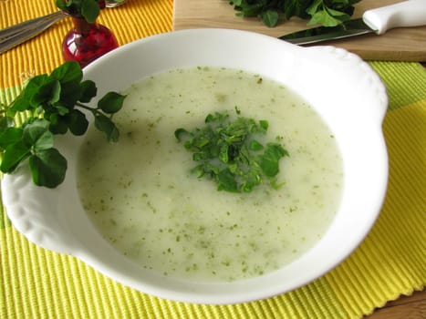 Herb cream soup with watercress