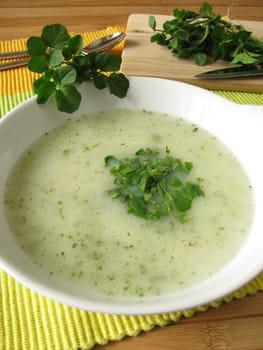 Herb cream soup with watercress