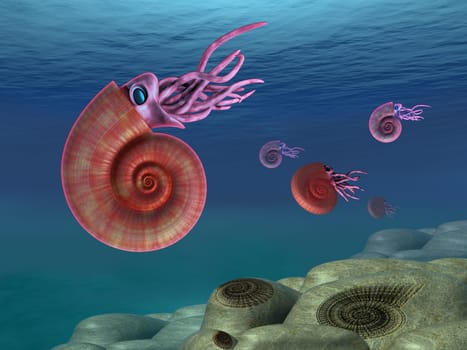 Illustration of ammonites swimming in the sea