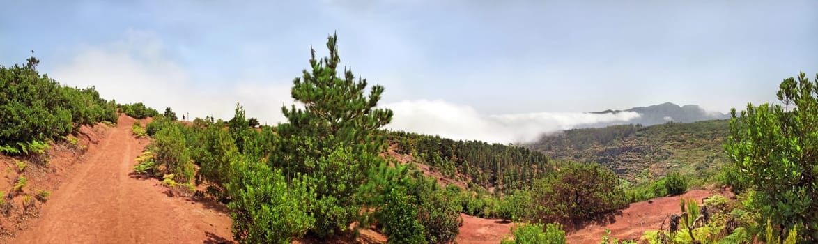Red Earth of Canada Grande,Agulo,La Gomera,Canary Island,Spain