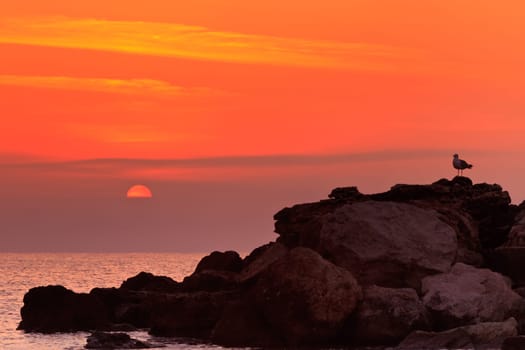 a beautiful sunrise on a rocky shore