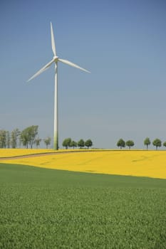 Wind turbines in a blooming rapeseed field in Saxony,Germany