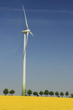 Wind turbines in a blooming rapeseed field in Saxony,Germany