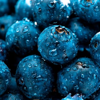 Blueberries