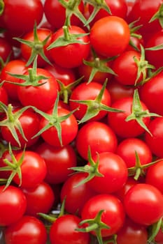 Cherry tomato