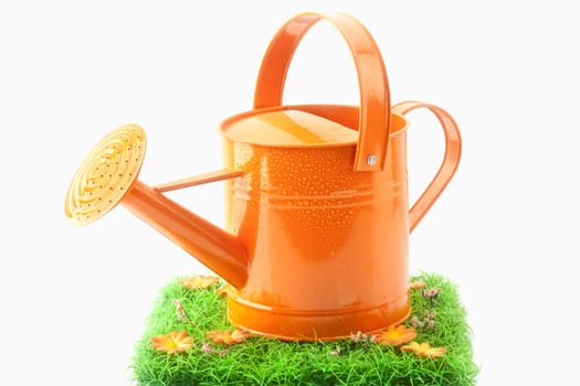 Watering Can