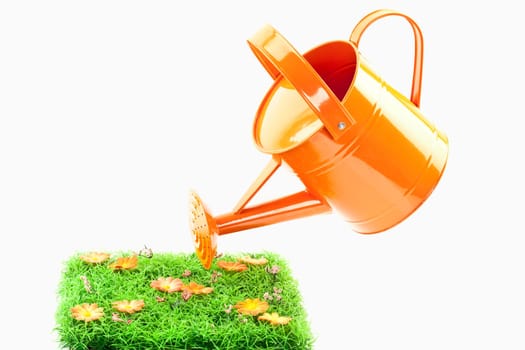 Watering Can