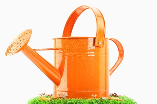 Watering Can