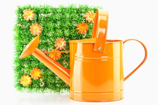 Watering Can