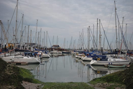 Two lines of yachts in harbour