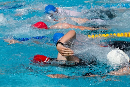 Crawl swimmers in competition